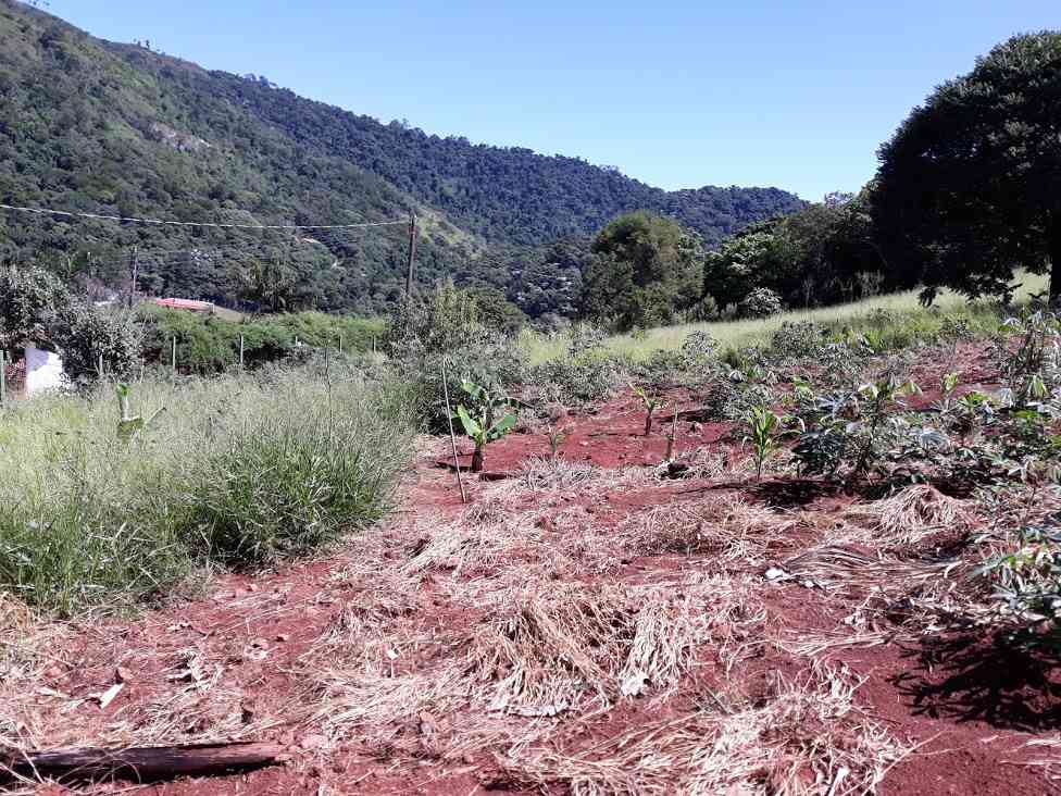 Bragança Paulista - Parque do Caetê