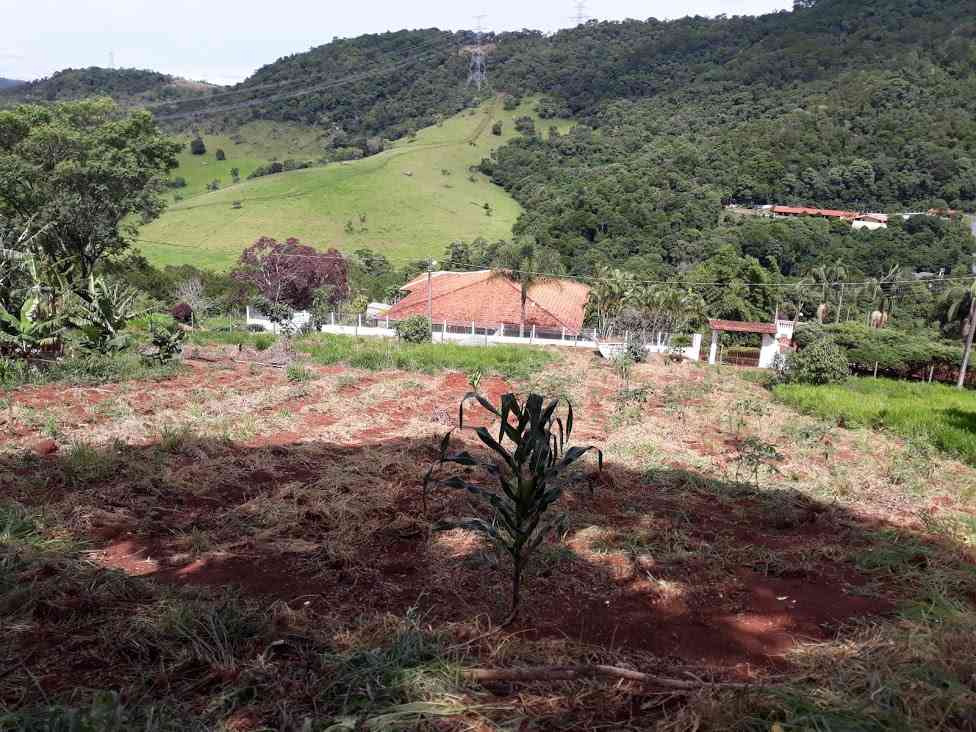 Terreno com Sombra