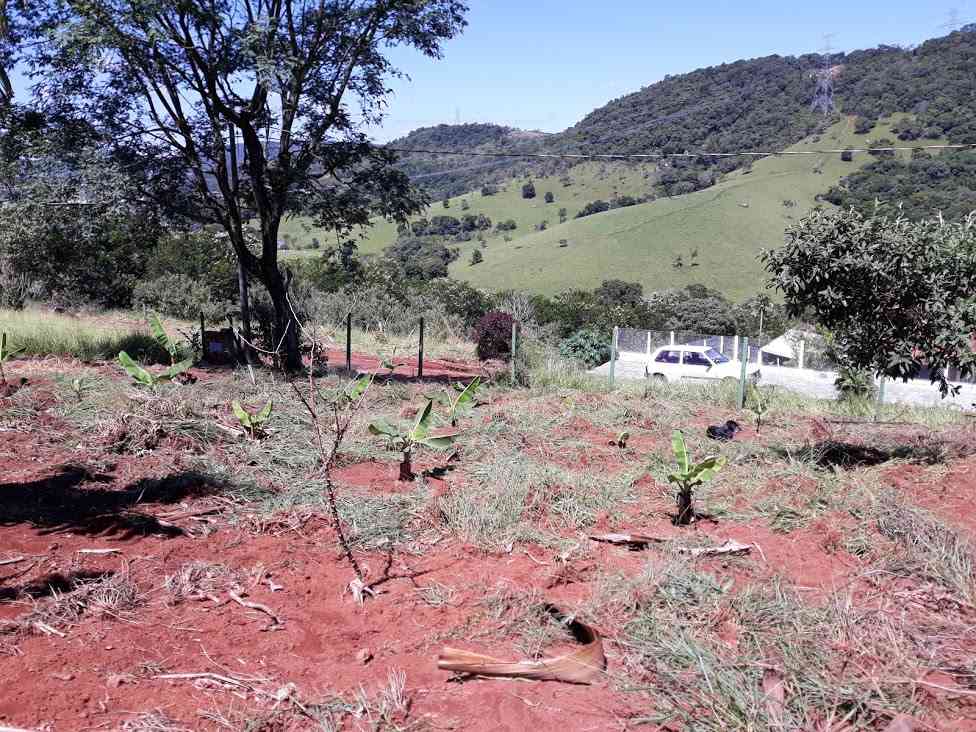 Terreno parte baixa