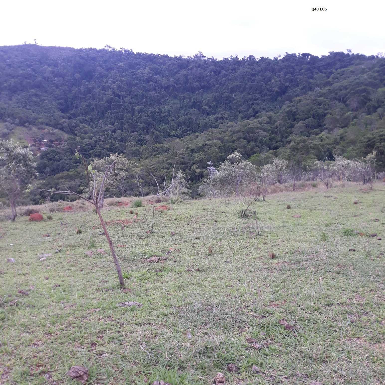 O Terreno