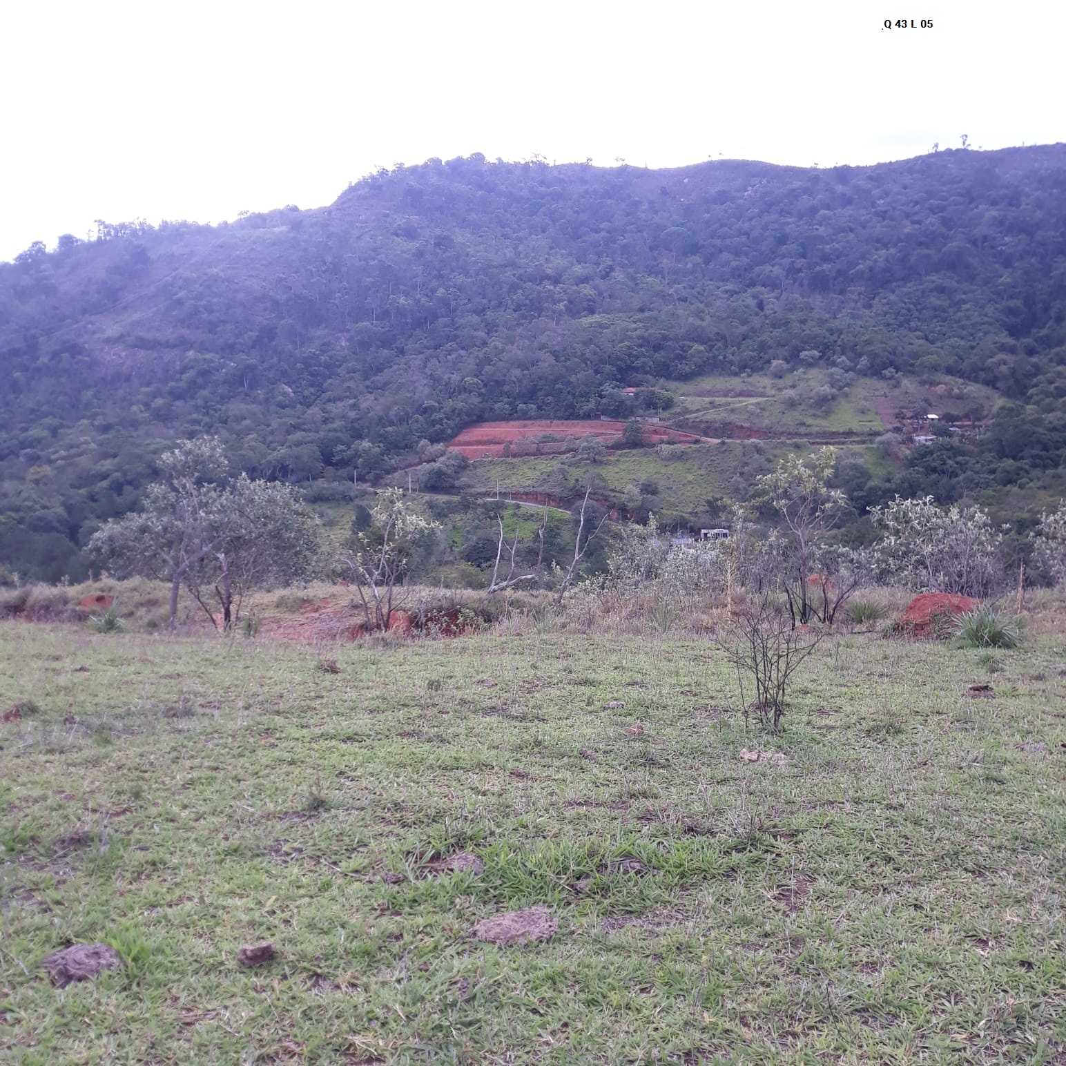 O Terreno com Vsta para Floresta