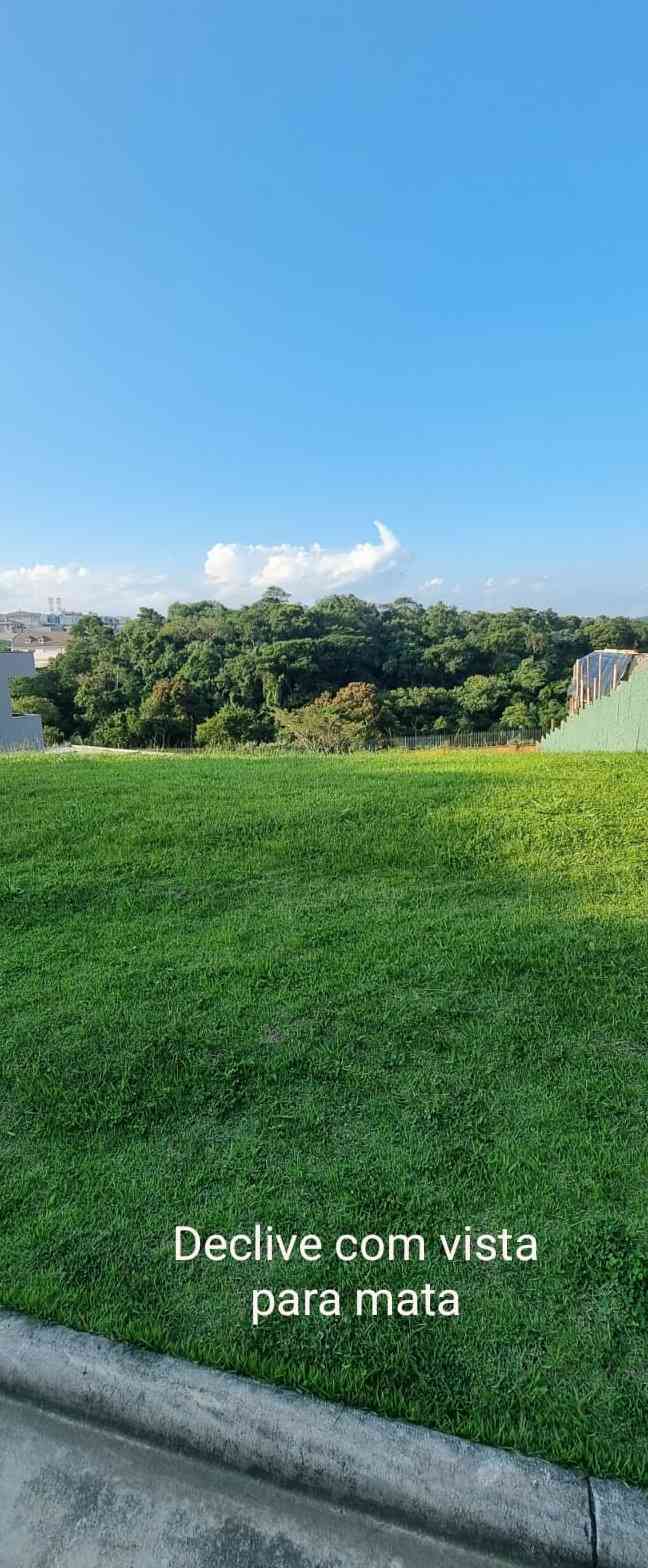 TERRENO COM VISTA PARA MATA!