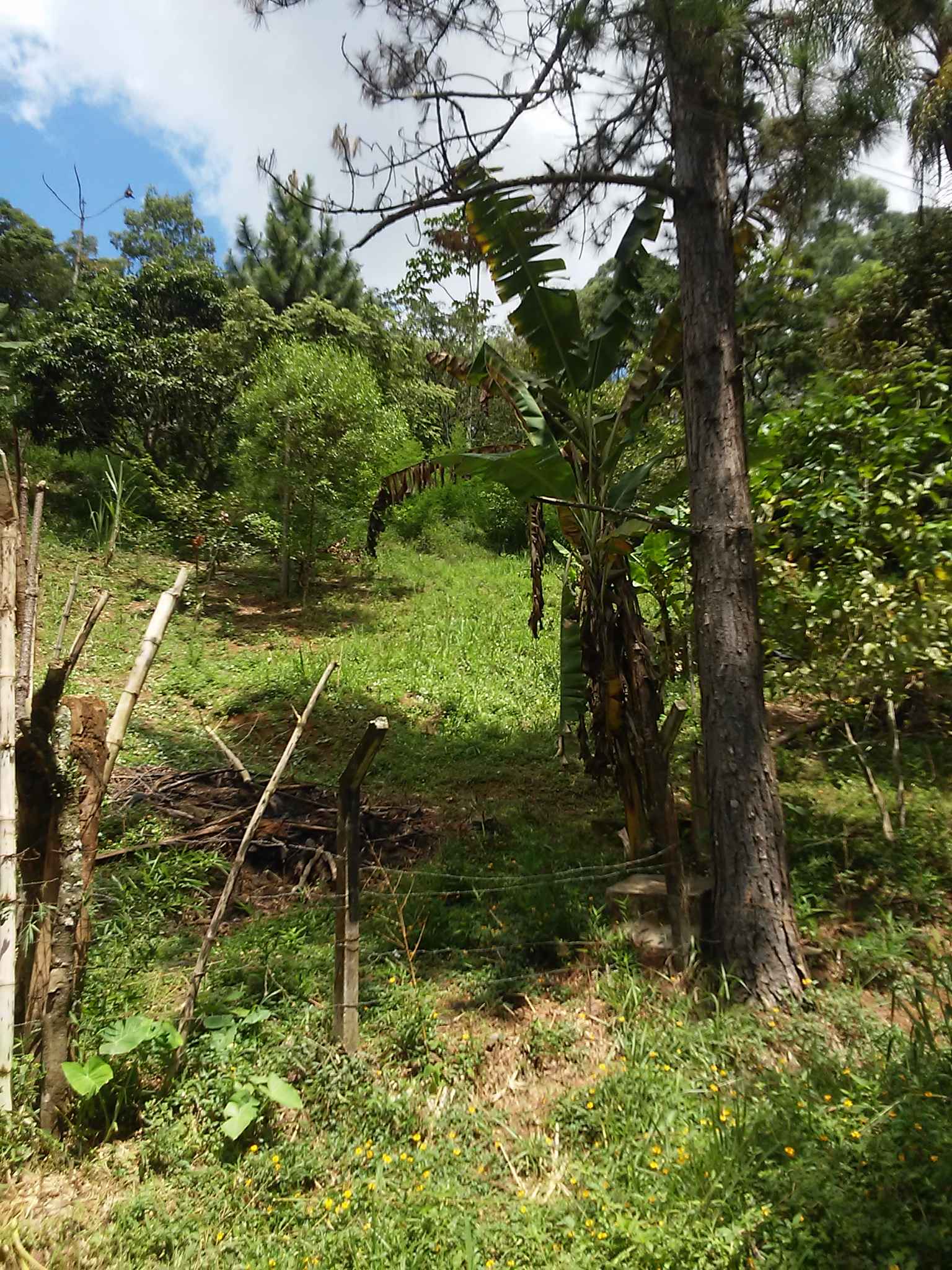 Ótimo Terreno Centro de Água azul Com 1.055M2 - RE