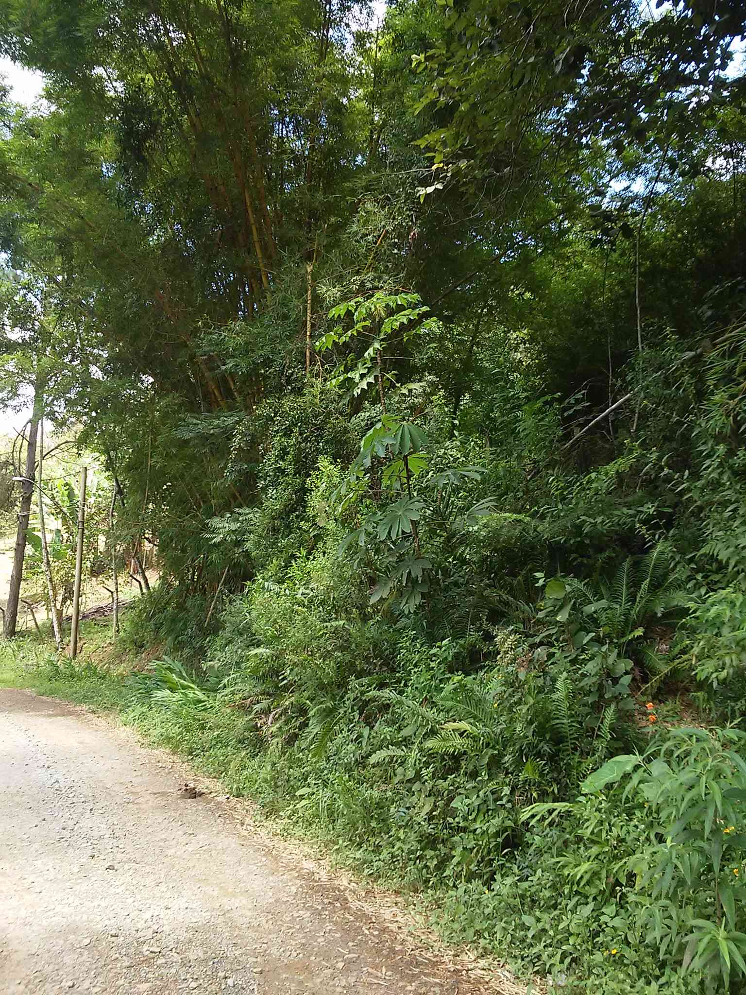 Ótimo Terreno Centro de Água azul Com 1.055M2 - RE