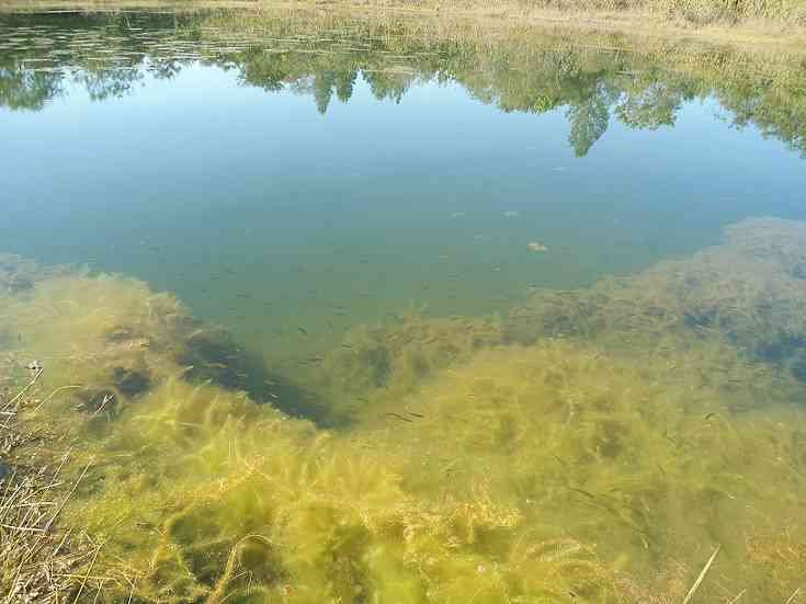 Terreno em Águas de Santa Barbara