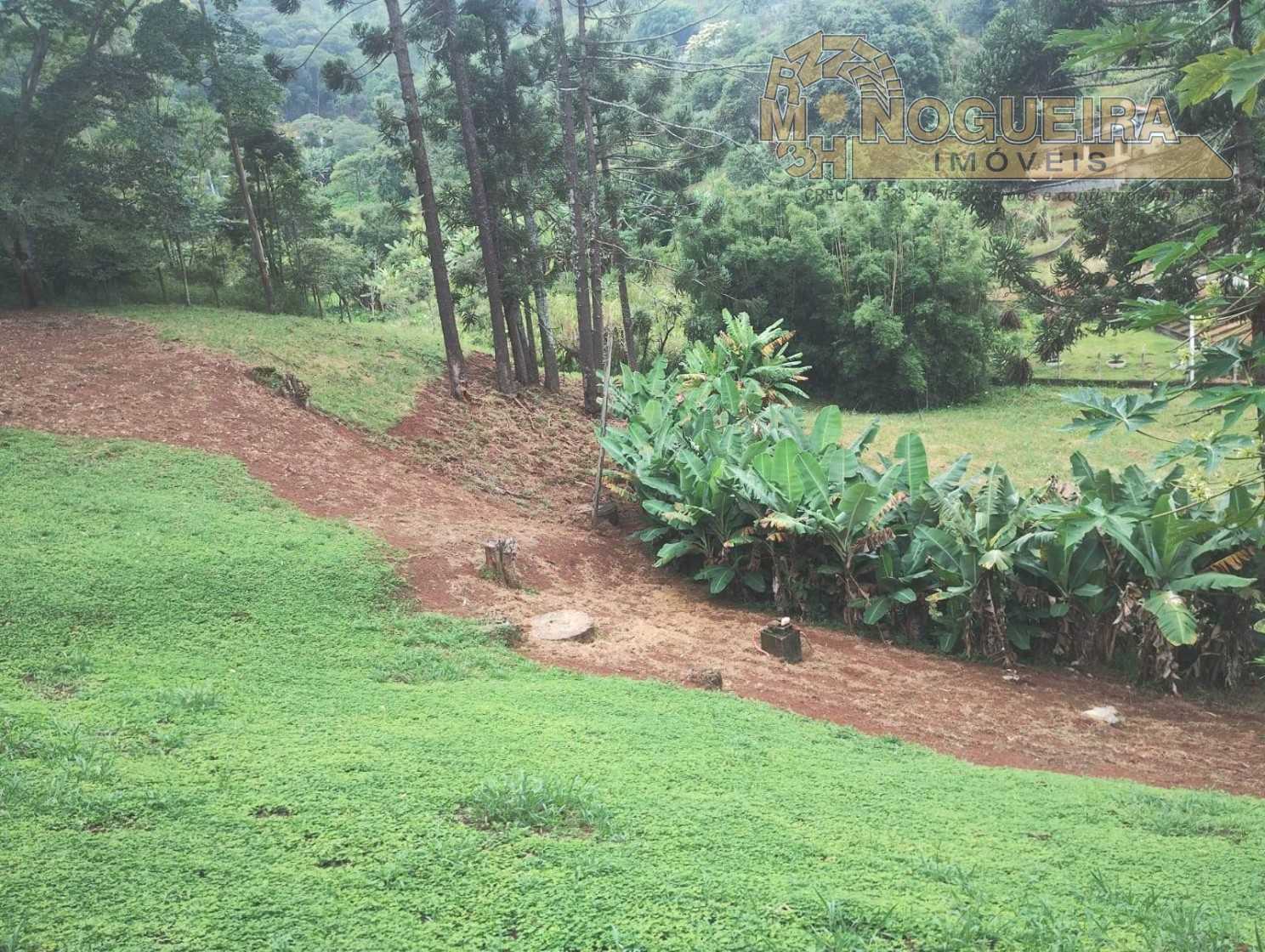 Exelente Sitio no Bairro Cuiba de Cima - Nazaré Paulista