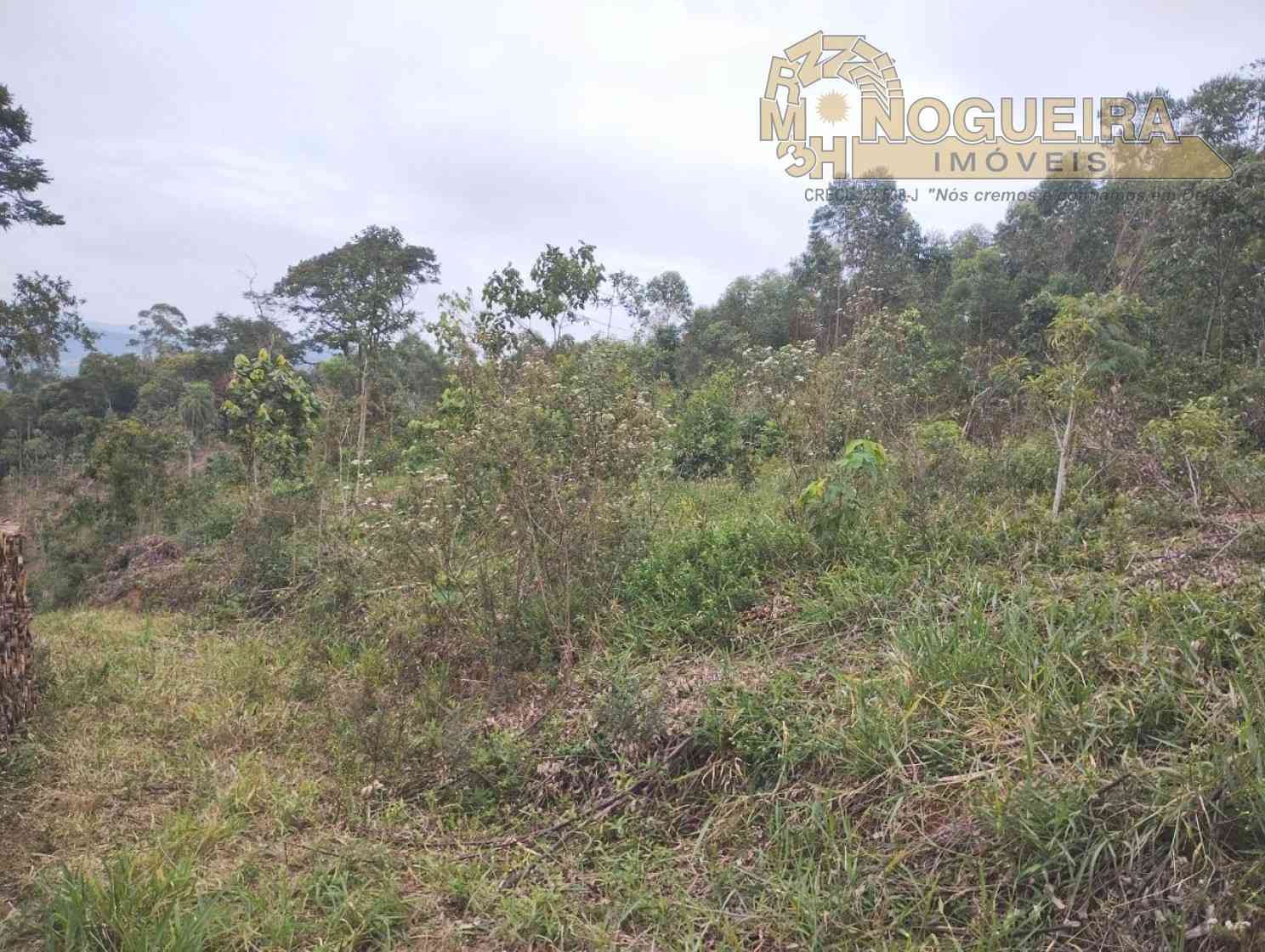 Exelente Sitio no Bairro Cuiba de Cima - Nazaré Paulista