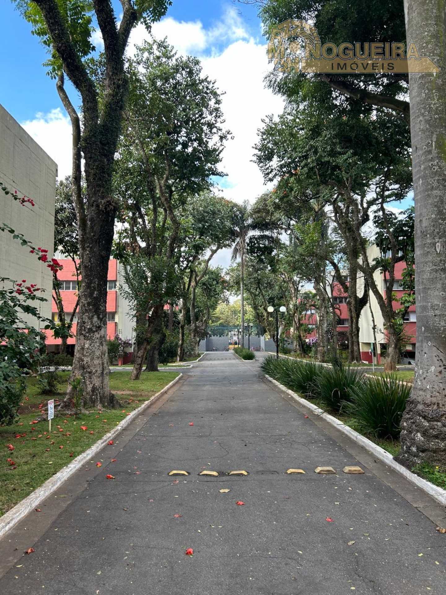 Oportunidade Apartamento 3 Dormitórios - Condomínio São Paulo Pq. Cecap