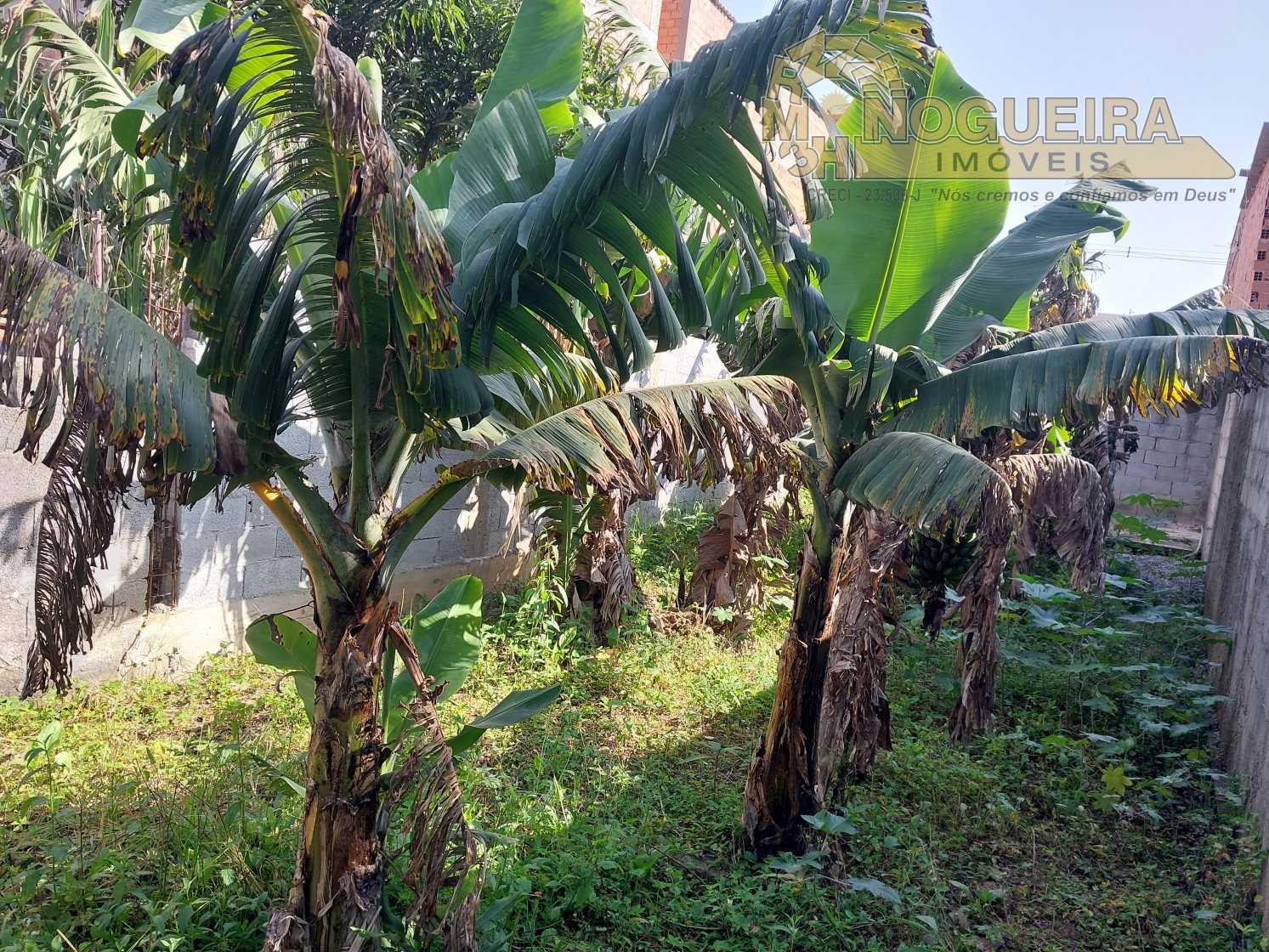 Ótima casa térrea com Terreno 5 x 40m² no total de 200m² na Cidade Soberana - Guarulhos